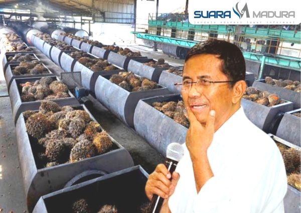 Ketika Dahlan Iskan Wow-Wow-Wow Saat Jokowi Larang Ekspor Minyak Sawit 6 Ketika Dahlan Iskan Wow-Wow-Wow Saat Jokowi Larang Ekspor Minyak Sawit