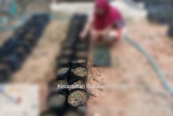 Berdalih Bantu KWT, Korluh Pertanian Kecamatan Rubaru Pastinya Untung 2 Berdalih Bantu KWT, Korluh Pertanian Kecamatan Rubaru Pastinya Untung