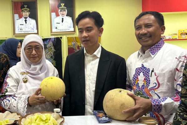 Gibran Kepincut Melon Kangean Hingga Kabupaten Sumenep Juara di Apkasi Otonomi Expo 2024