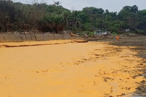 Ribuan Ton Tumpahan Minyak CPO Ancam Ekosistem Laut Sumenep