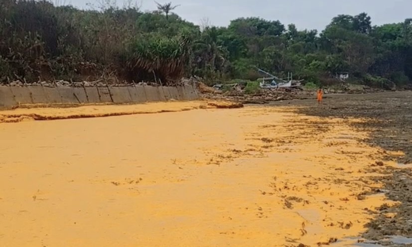 Ribuan Ton Tumpahan Minyak CPO Ancam Ekosistem Laut Sumenep