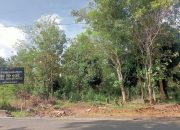 Tanah, Batalyon, dan Aroma Politik Parpol