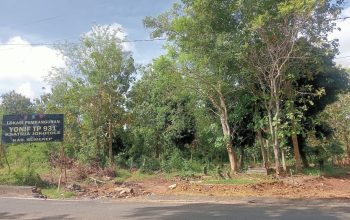 Tanah, Batalyon, dan Aroma Politik Parpol 3 Tanah, Batalyon, dan Aroma Politik Parpol