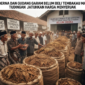 Sampoerna dan Gudang Garam Belum Beli Tembakau Madura, Tudingan Jatuhkan Harga Menyeruak